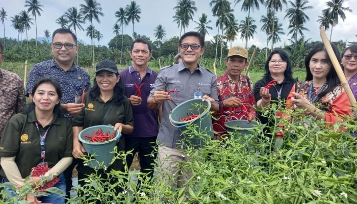 Perjuangan Petani Sulut Berbuah Hasil dengan Dukungan Bank Indonesia