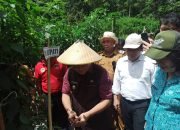 Kendalikan Inflasi, BI dan Pemkab Minahasa Sukses Panen Cabai Keriting