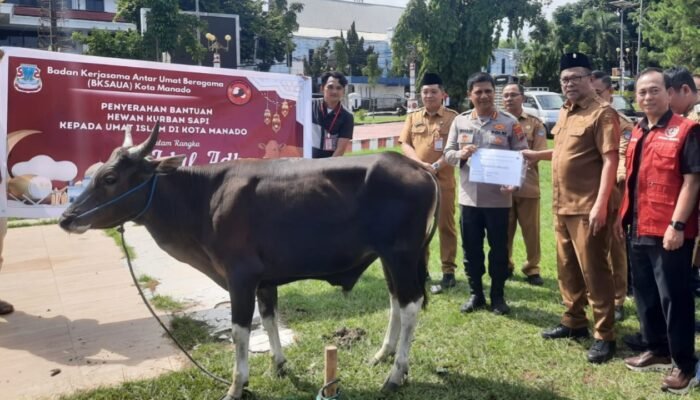 Idul Adha, Pemkot Manado Salurkan 30 Hewan Kurban