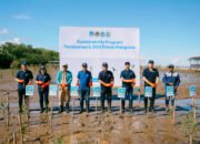 Aksi Hijau ACC di Kalimantan, Ribuan Mangrove Ditanam, UMKM Ikut Diberdayakan