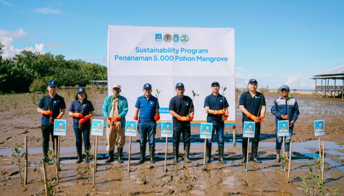 Aksi Hijau ACC di Kalimantan, Ribuan Mangrove Ditanam, UMKM Ikut Diberdayakan