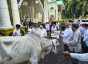 Idul Adha 1447 H, Pegadaian Manado Salurkan 82 Hewan Kurban