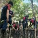 Alfamidi Tanam 1000 Mangrove di Likupang